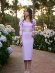 Vestido Elegante Manga Jamón Vene
