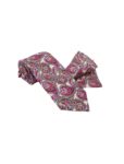 Corbata Cachemire Y Pañuelo 615-00052